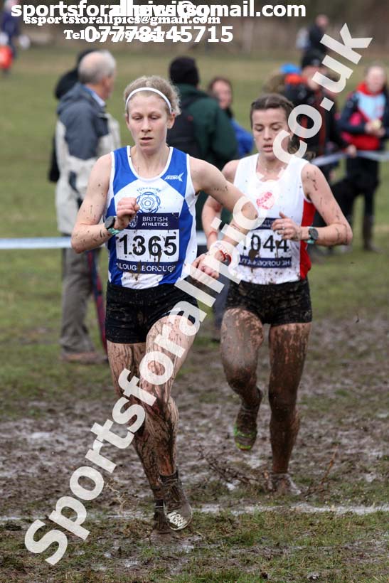 Senior womens 2018 British Inter Counties Cross Country Champs., Prestwold Hall, Loughborough. Photo: David T. Hewitson/Sports for All Pics
